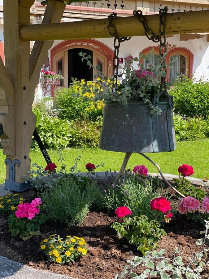 Almkoenig Maria Alm am Steinernen Meer